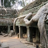 Tree Devours Temple at Ta Prohm
