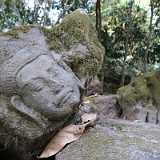Buddha Head  Many of the temples around Angkor Wat lie in ruins - heaps of rocks, that sometimes release surprising details.