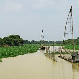 Fishing Boats  Typical fishing boats on Sangke river on the way to Battambang