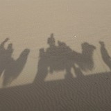 Riding the Desert Waves