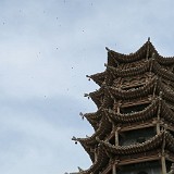 Wooden Pagoda in Zhangye  The wooden pagoda in Zhangye seems to a popular hangout for the local swallow population...