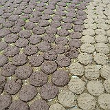 Yak Shit  Yak droppings laid out for drying. Why there are two different colors, I was not able to find out, but it certainly makes the setting more photogenic...