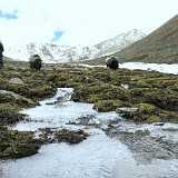 Second Trekking Day  When he saw the rain on the first moring, our "Yak Man", the owner of the three Yaks we had to rent to carry all our equipment, informed us, that he was not willing to take us to Samye Monastery, despite the fact that the weather was continuously improving and we already had paid him for the entire trip (because he forced us to do so). Nevertheless, we were able to convince him to at least continue on the second day and walk up to the first pass (at an altitude of 5300m).