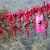 Wishes to the Wind  A scene to be found in many places - chinese like to place symbols of good luck in special places, such as this tree in the Cang Shan mountain range.