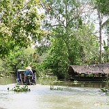 Mekong Backwaters  Just around the corner into a side channel, landscape changes into a lush and peaceful scenery. Despite the deserted impressio, the area is full of life and behind wach tree there is a little house with a little business....
