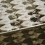 Drying Squid